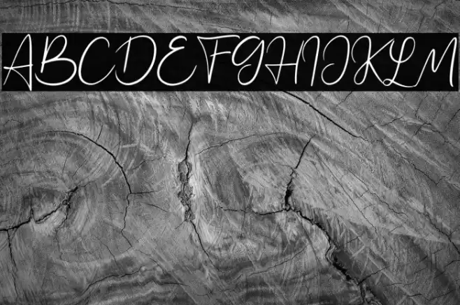 Jennifer Font examples