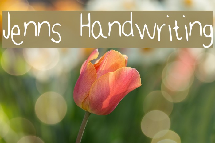 Jenns Handwriting Font examples