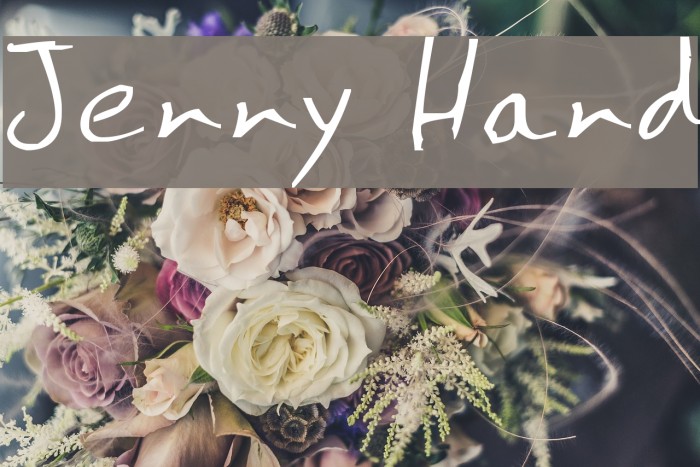 Jenny Hand Font examples