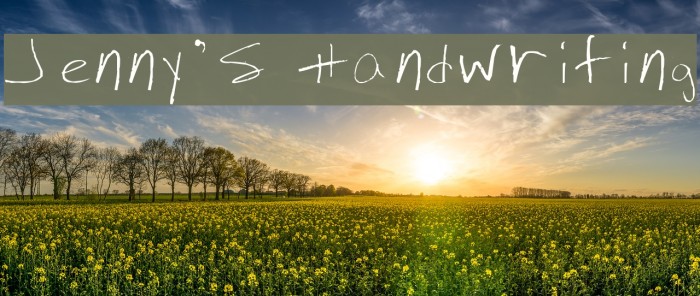 Jenny's Handwriting Font examples