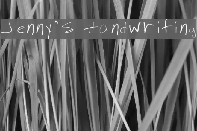 Jenny's Handwriting Font examples