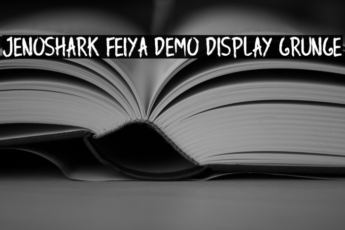 Jenoshark Feiya Demo Display Grunge Example 1