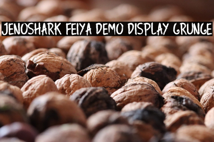Jenoshark Feiya Demo Display Grunge Example 2