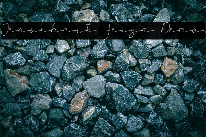 Jenoshark Feiya Demo Example 2