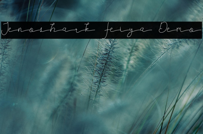 Jenoshark Feiya Demo Example 3