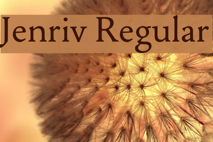 Jenriv Regular Font examples