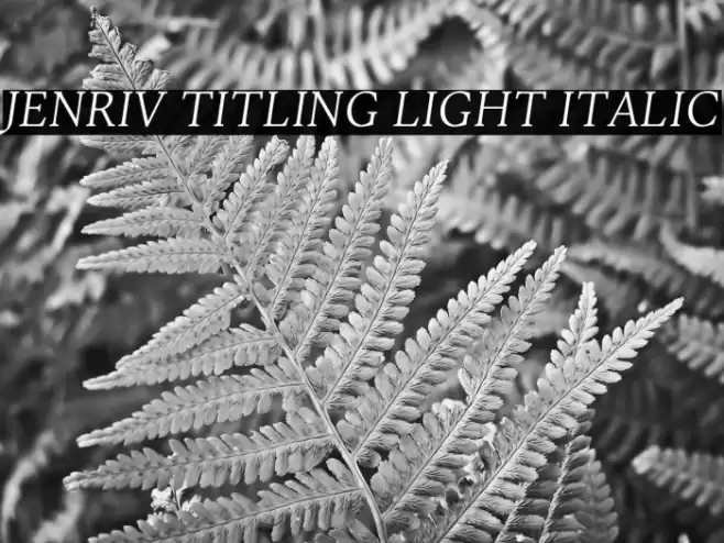 Jenriv Titling Light Italic Font examples