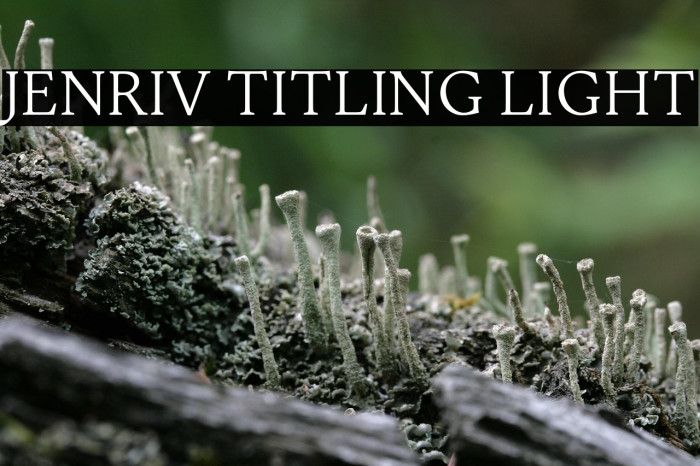 Jenriv Titling Light Example 1