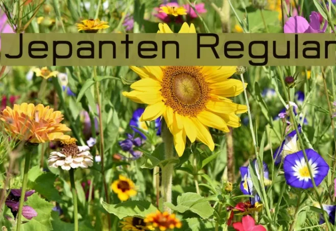 Jepanten Regular Example 1