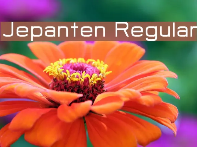 Jepanten Regular Example 2