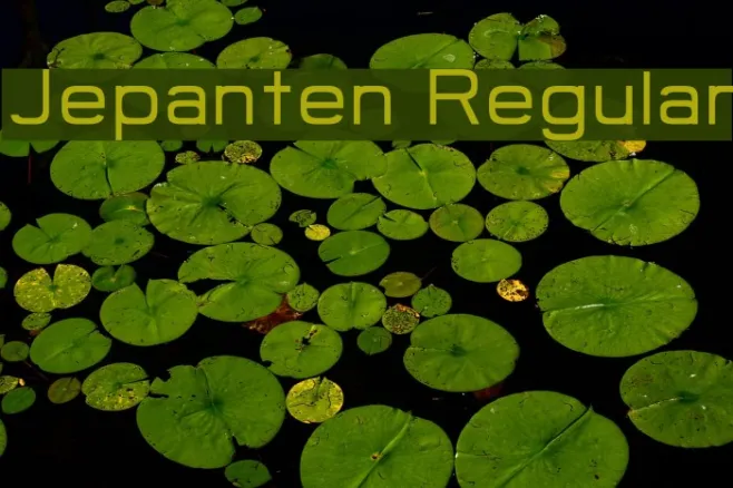 Jepanten Regular Example 3