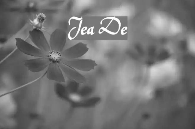 Jerash Demo Шрифта examples