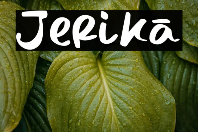 Jerika Example 1