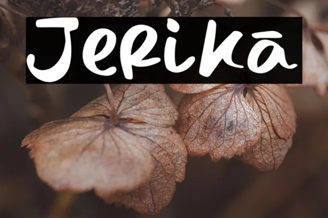 Jerika Example 2