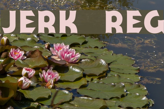 Jerk Reg Font examples