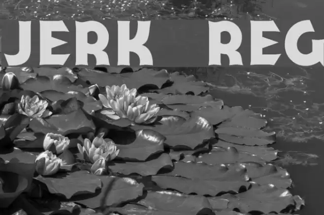 Jerk Reg Font examples