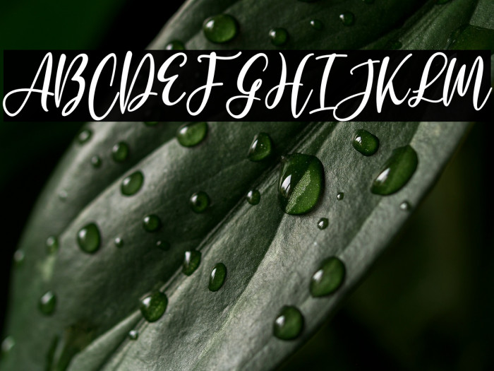 Jerlista Siny Example 1