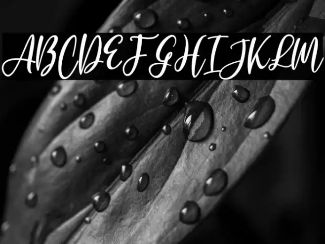 Jerlista Siny Font examples