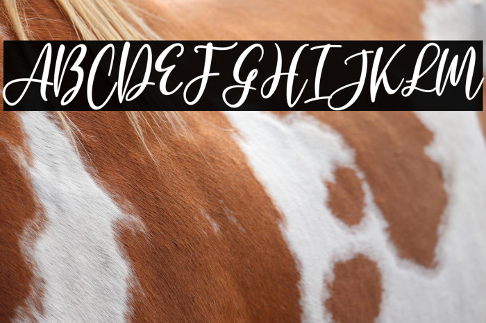 Jerlista Siny Example 2