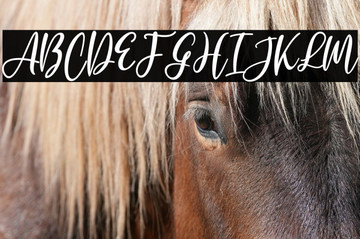 Jerlista Siny Example 3