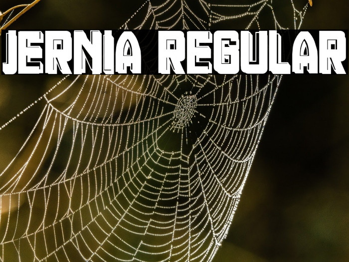 Jernia Regular Example 2