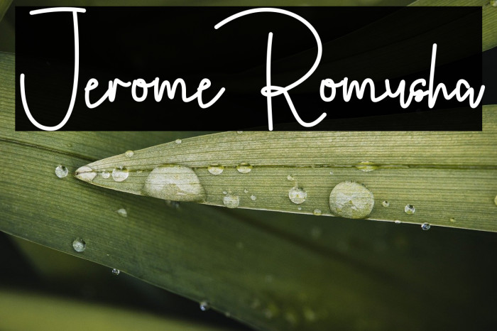 Jerome Romusha Example 2