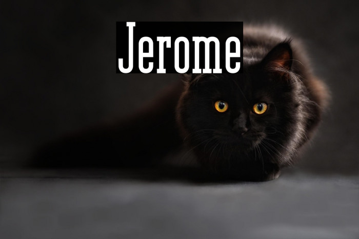 Jerome Example 2