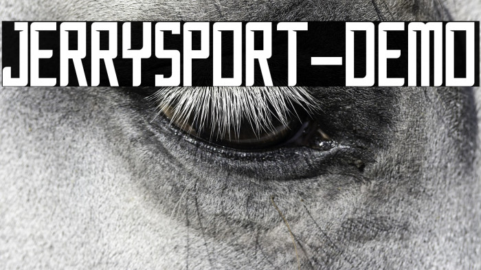 JerrySport-Demo Example 1