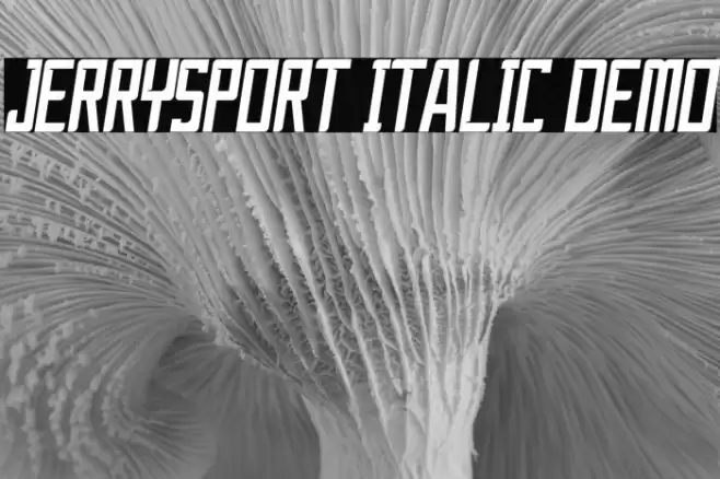 JerrySport Italic Demo Font examples