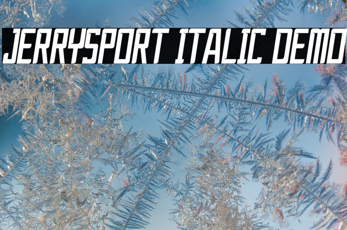 JerrySport Italic Demo Example 2