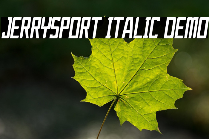 JerrySport Italic Demo Example 3