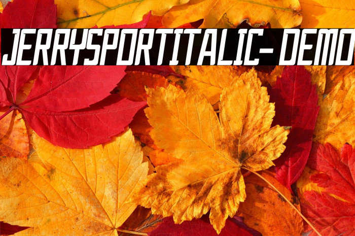 JerrySportItalic-Demo Example 1
