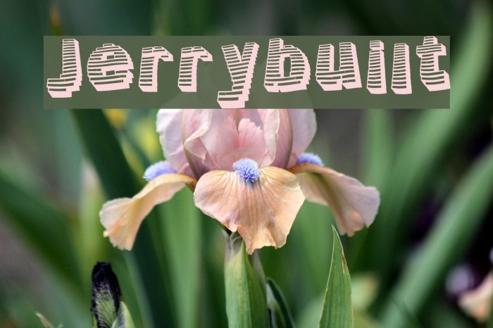 Jerrybuilt Font examples
