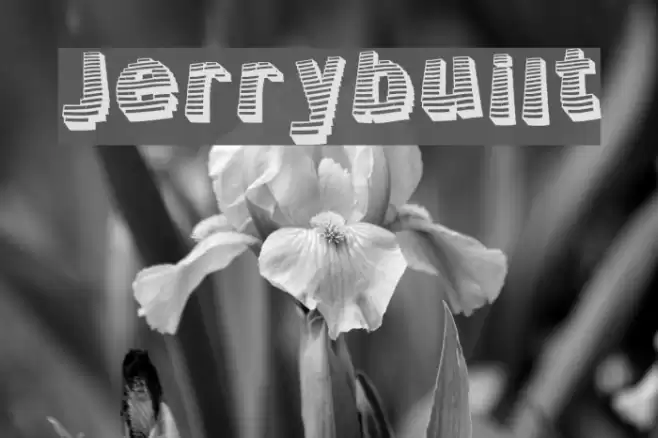 Jerrybuilt Шрифта examples