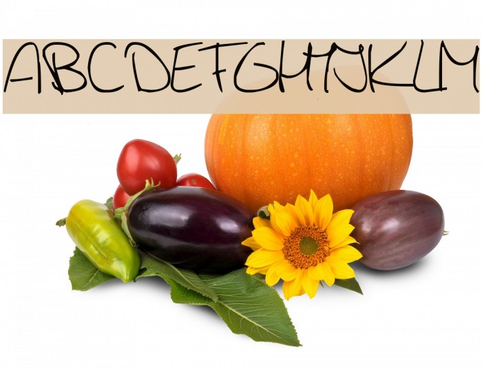 Jerry's handwriting Font examples