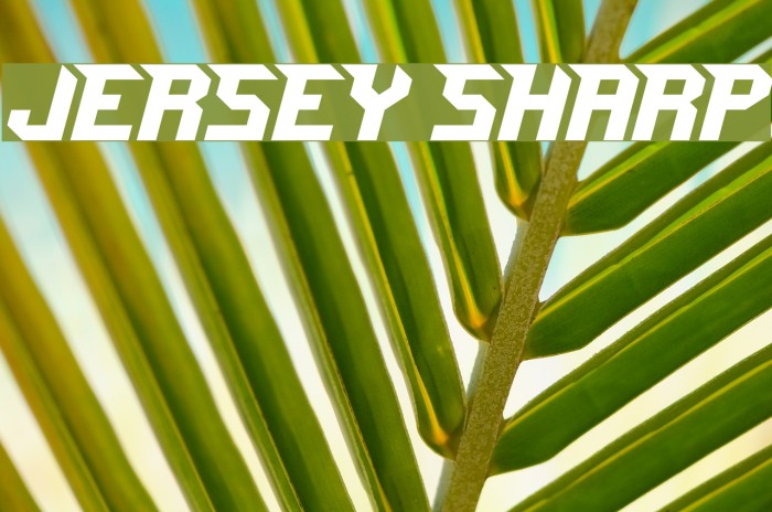 Jersey Sharp 字体-FFonts.net