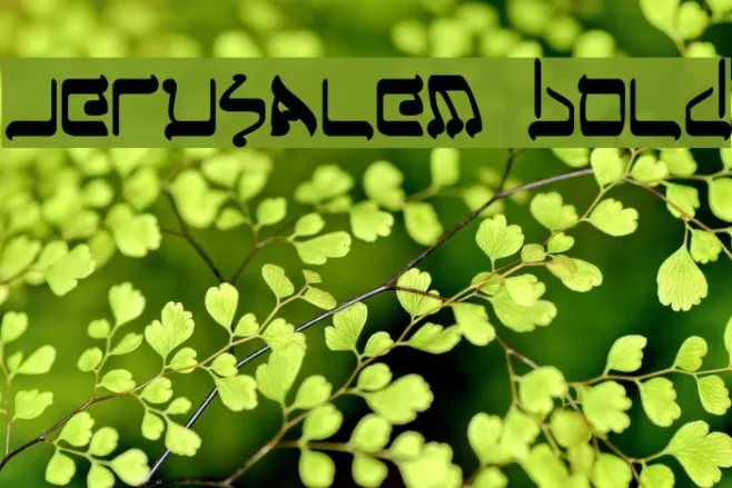 Jerusalem Bold Example 2