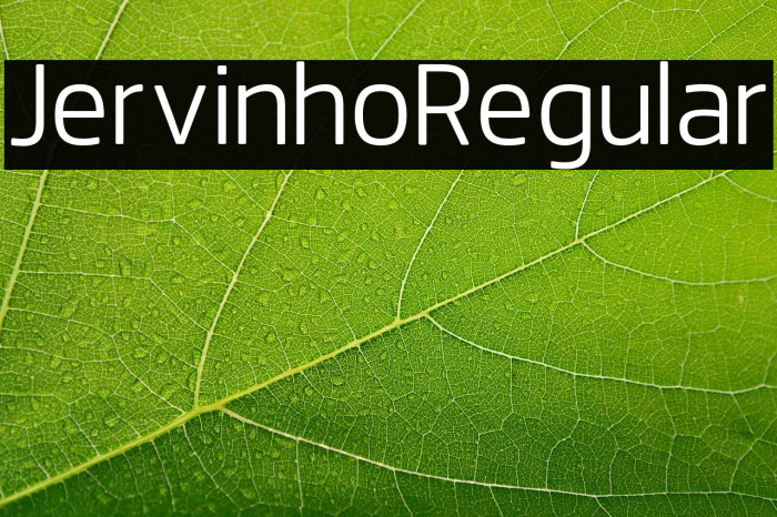 JervinhoRegular Example 3
