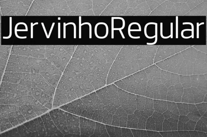 JervinhoRegular Font examples