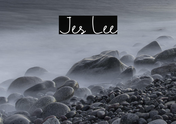 Jes Lee Example 2