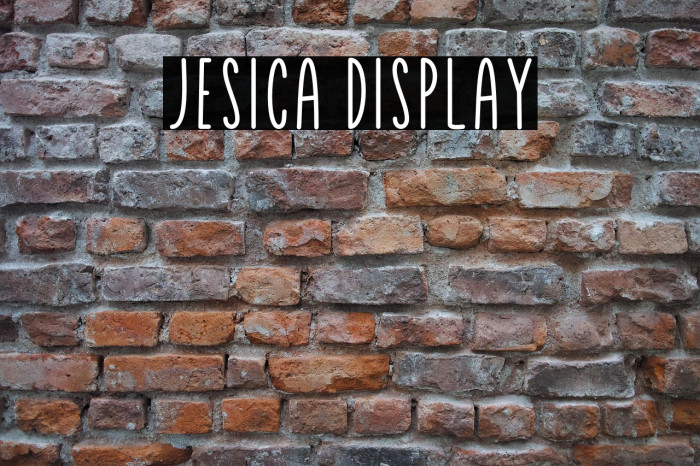 Jesica Display Example 2