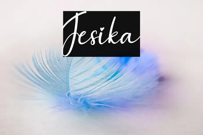 Jesika Example 1