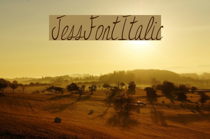 JessFontItalic Font examples