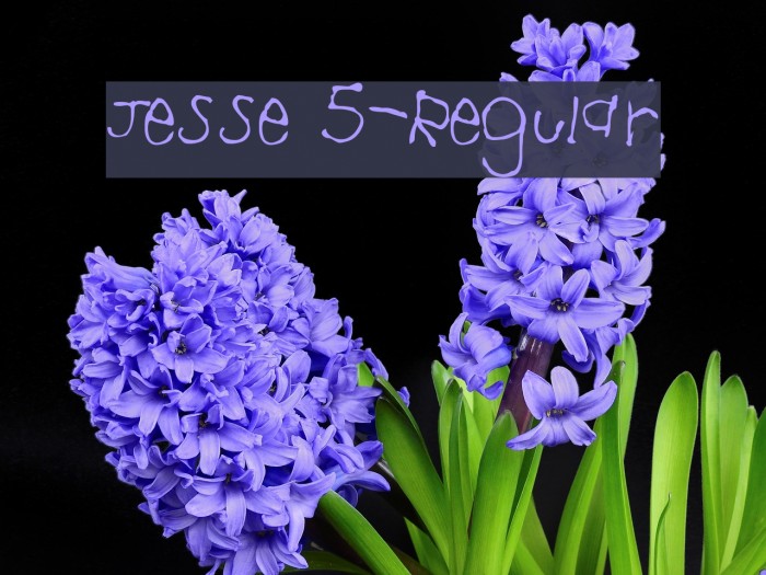 Jesse 5-Regular Example 3