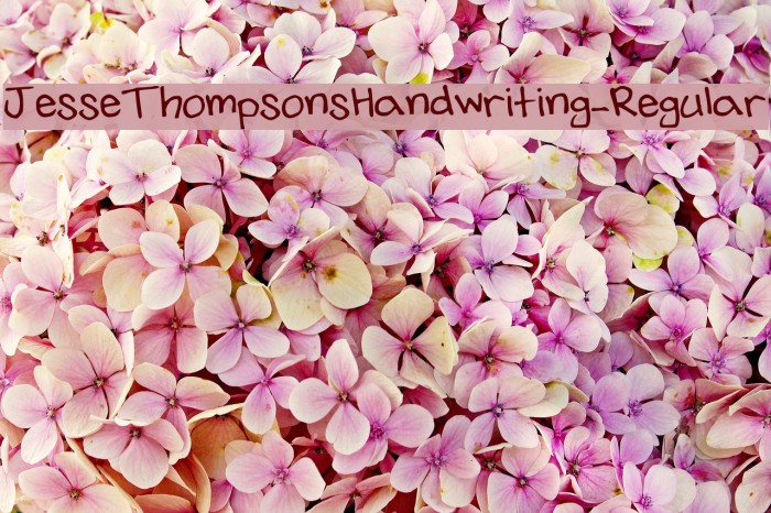 JesseThompsonsHandwriting-Regular फ़ॉन्ट examples