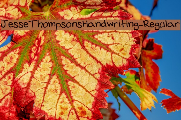 JesseThompsonsHandwriting-Regular फ़ॉन्ट examples