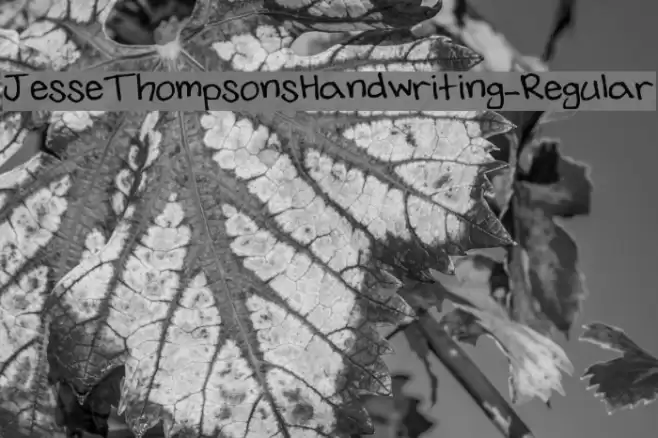 JesseThompsonsHandwriting-Regular फ़ॉन्ट examples