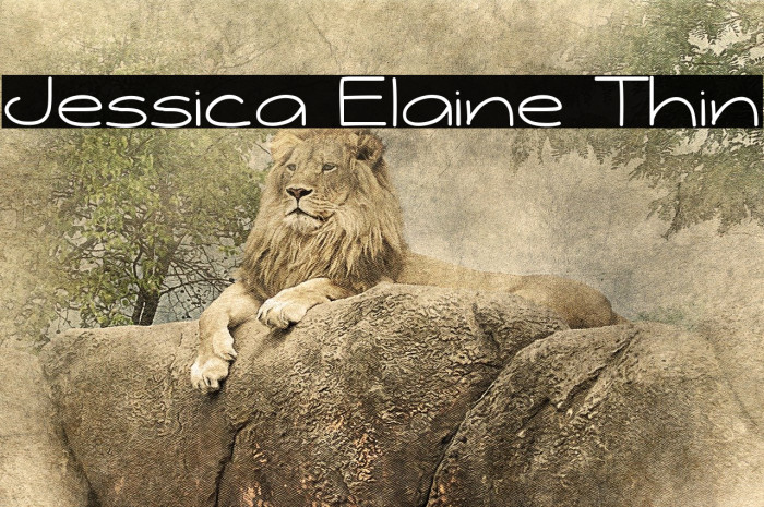 Jessica Elaine Thin Caratteri examples