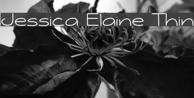 Jessica Elaine Thin Font examples