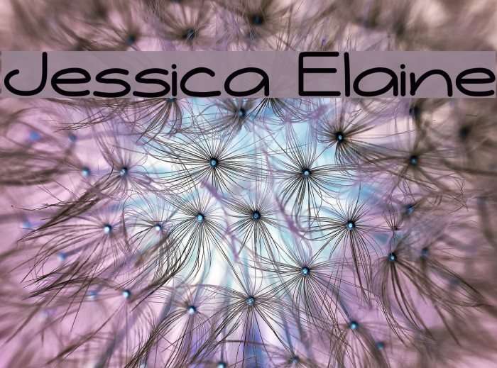 Jessica Elaine Fonte examples